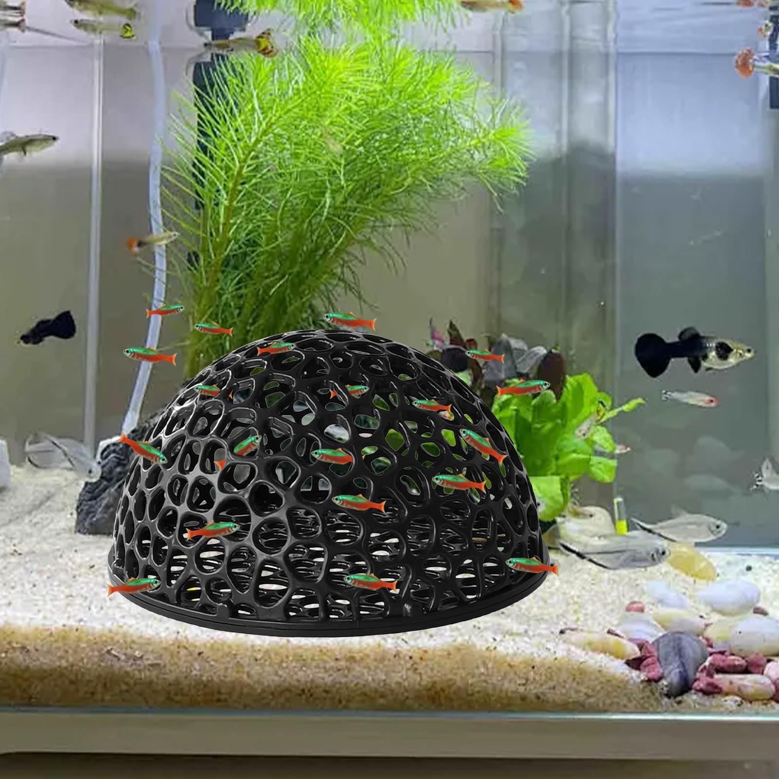 Home Decor Habitat - Caverne d'élevage de crevettes, cachette pour