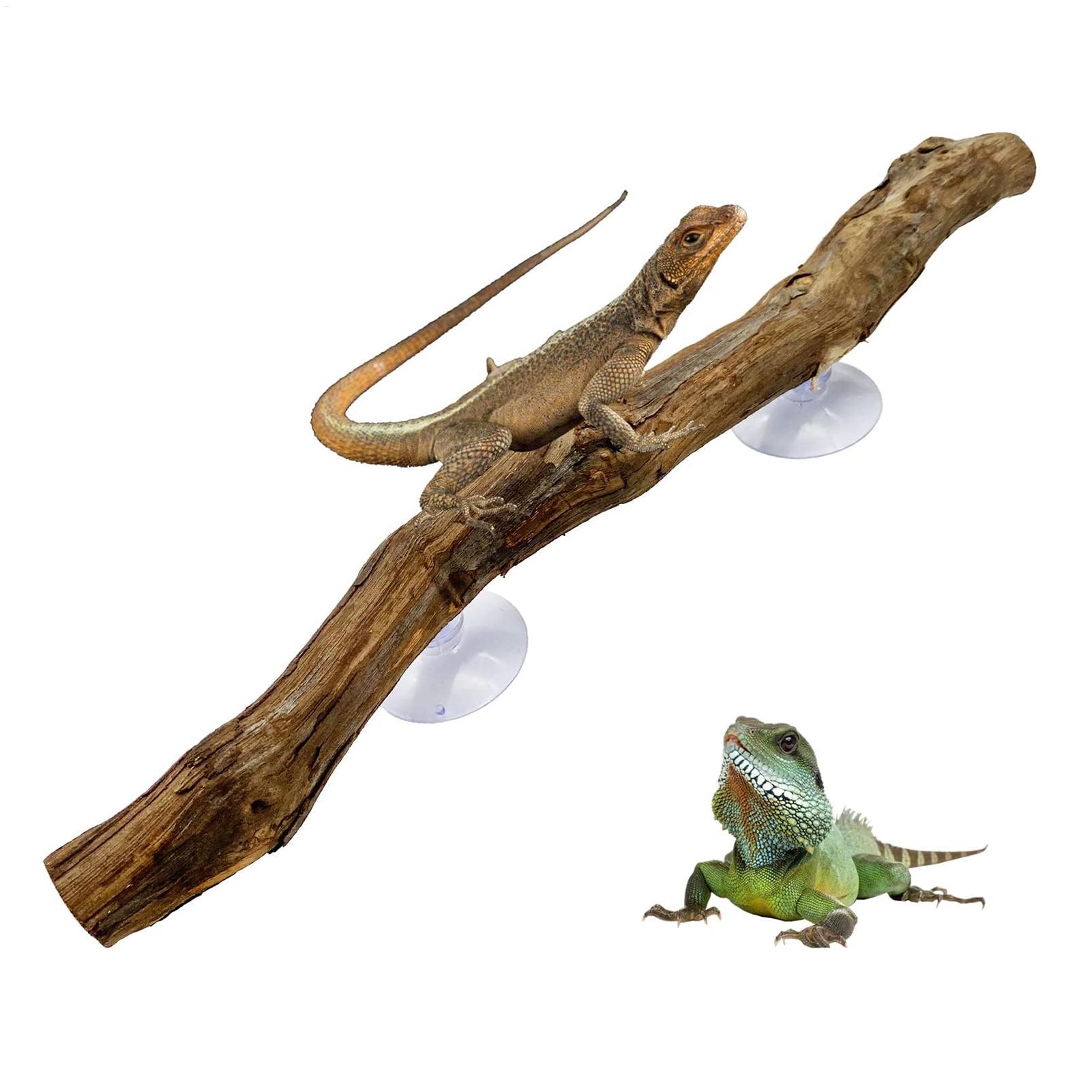 Home Decor Habitat - Bâton d'escalade pour reptiles, branches antidérapantes