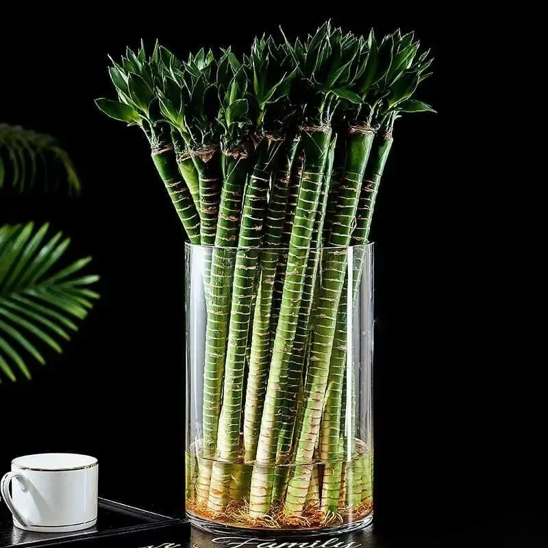 Home Decor Vase With Flowers - Vase cylindrique en acrylique transparent, tube
