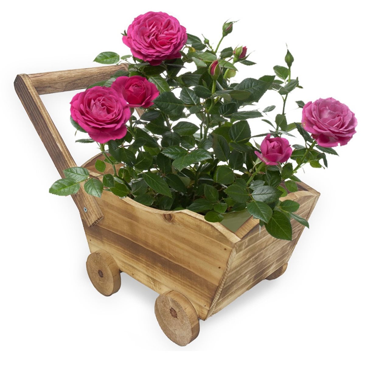 Pot de fleurs tendance 2026 en - Home Decor Trend 2026 avis et prix