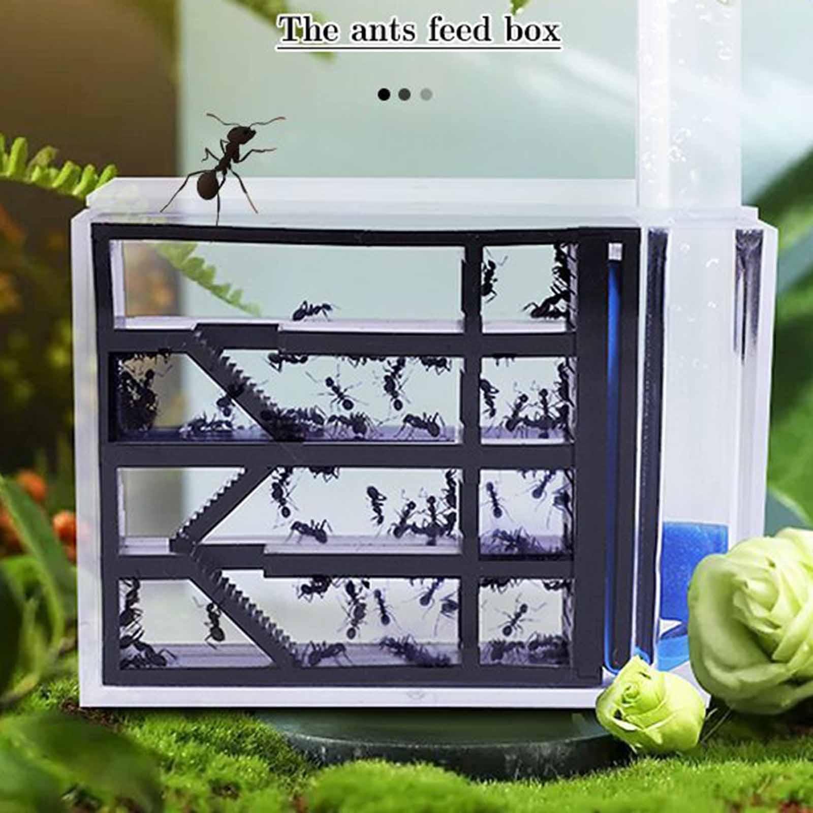 Ferme d'éléments de la fourmil - Home Decor Habitat avis et prix