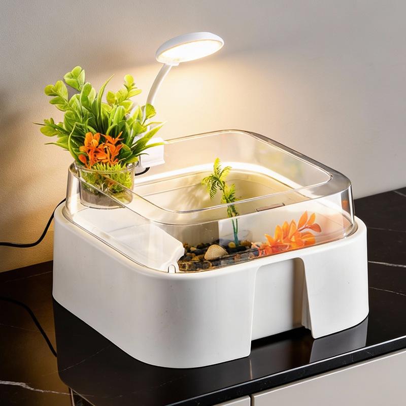 Nouvelle terrarium transparent - Home Decor Habitat avis et prix