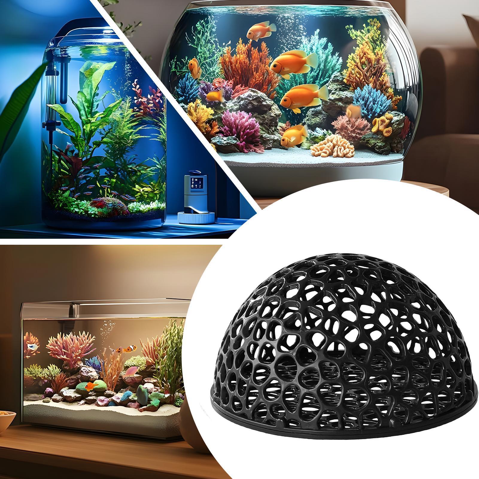 Caverne d'élevage de crevettes - Home Decor Habitat avis et prix