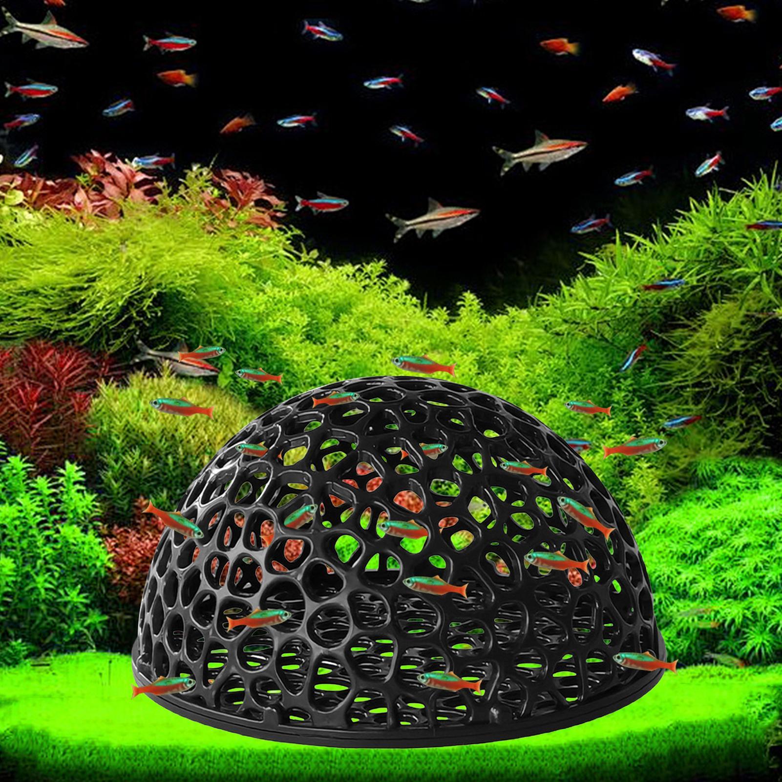 Cachette pour crevettes, cache - Home Decor Habitat avis et prix