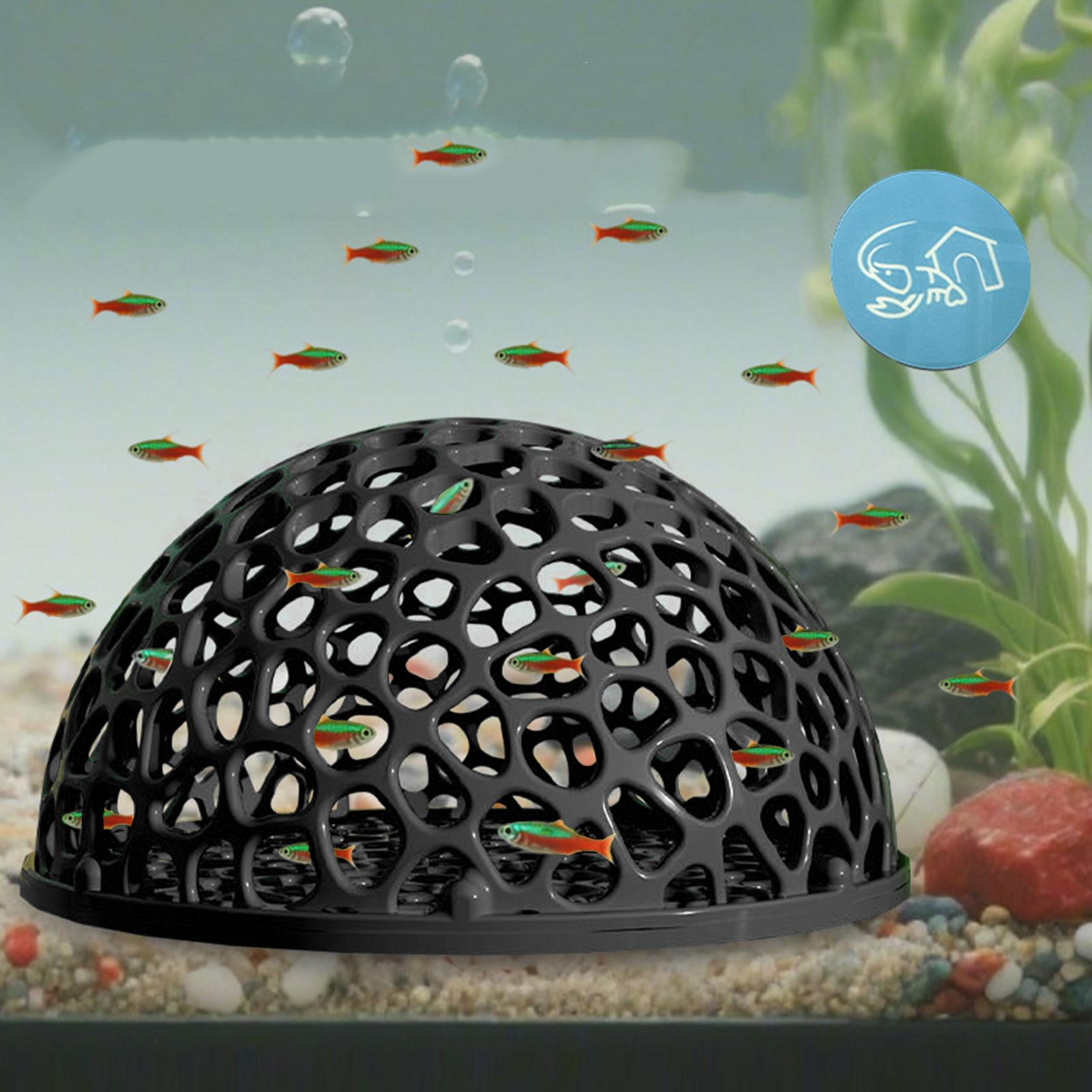 Cachette pour crevettes, cache - Home Decor Habitat avis et prix
