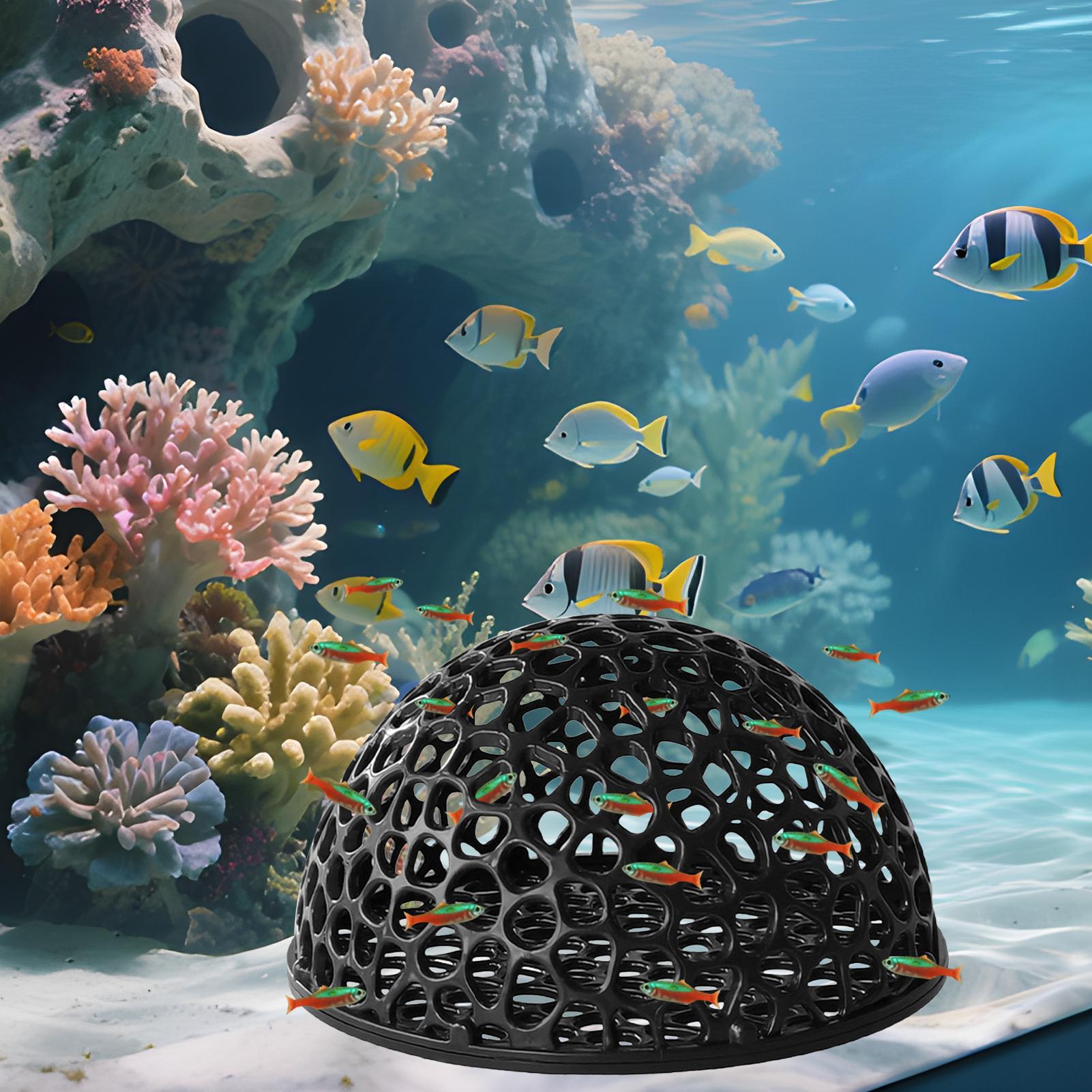 Cachette pour crevettes, cache - Home Decor Habitat avis et prix
