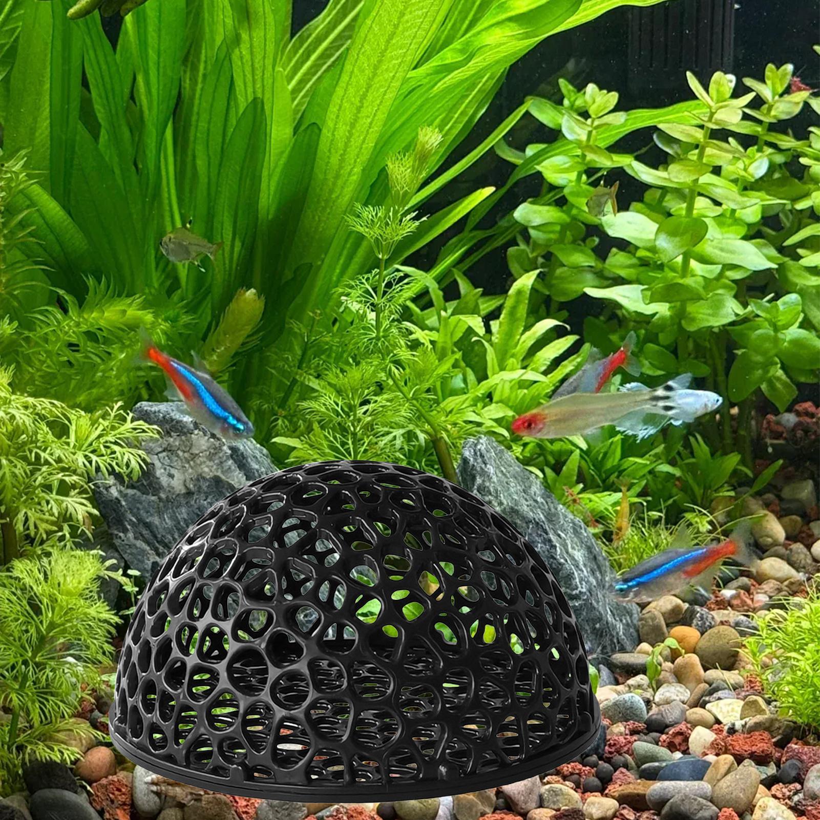 Caverne d'élevage de crevettes - Home Decor Habitat avis et prix