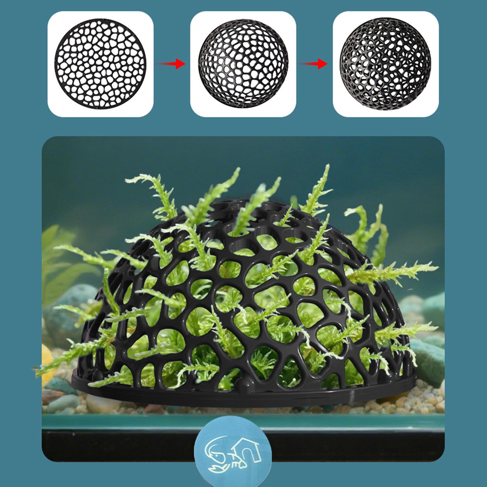 Caverne d'élevage de crevettes - Home Decor Habitat avis et prix