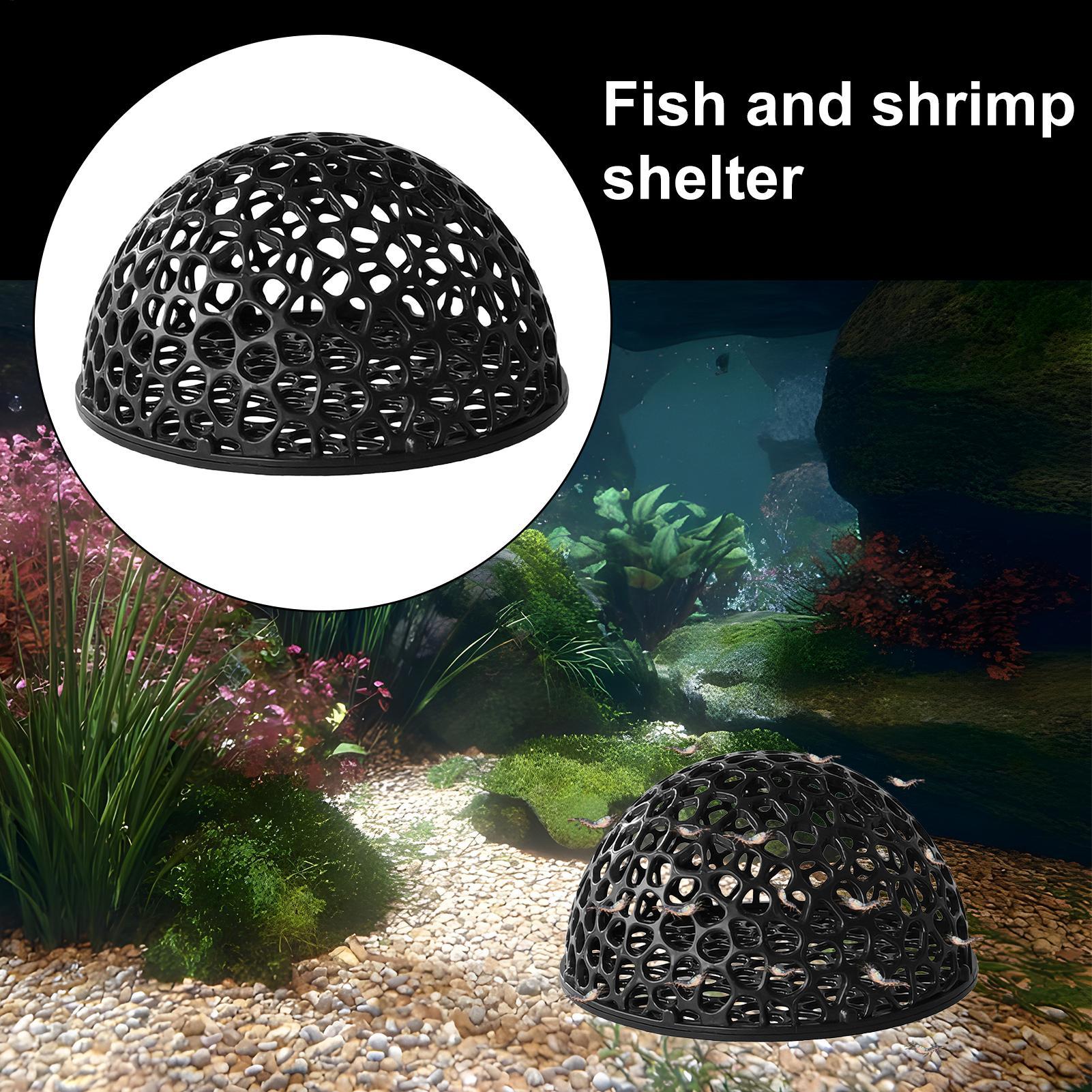 Caverne d'élevage de crevettes - Home Decor Habitat avis et prix