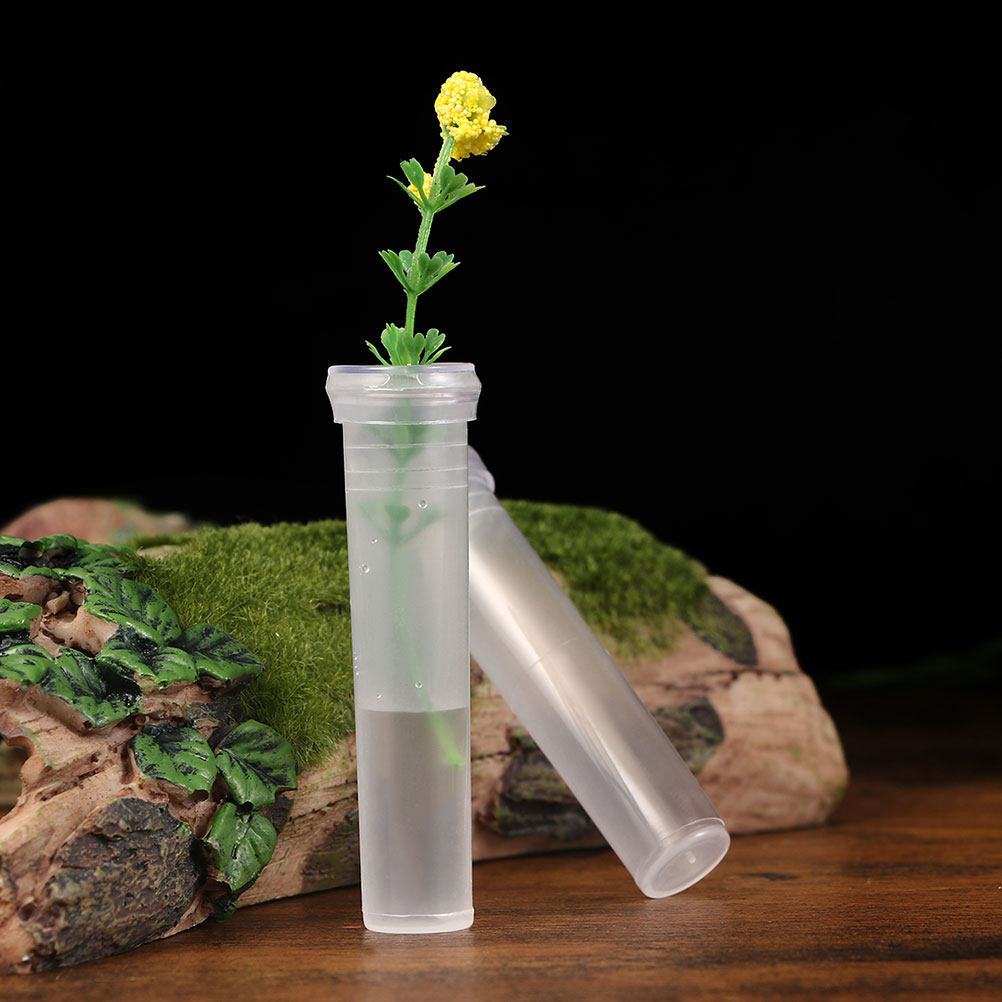 100 Tubes de Rangement pour Fl - Home Decor Vase With Flowers avis et prix