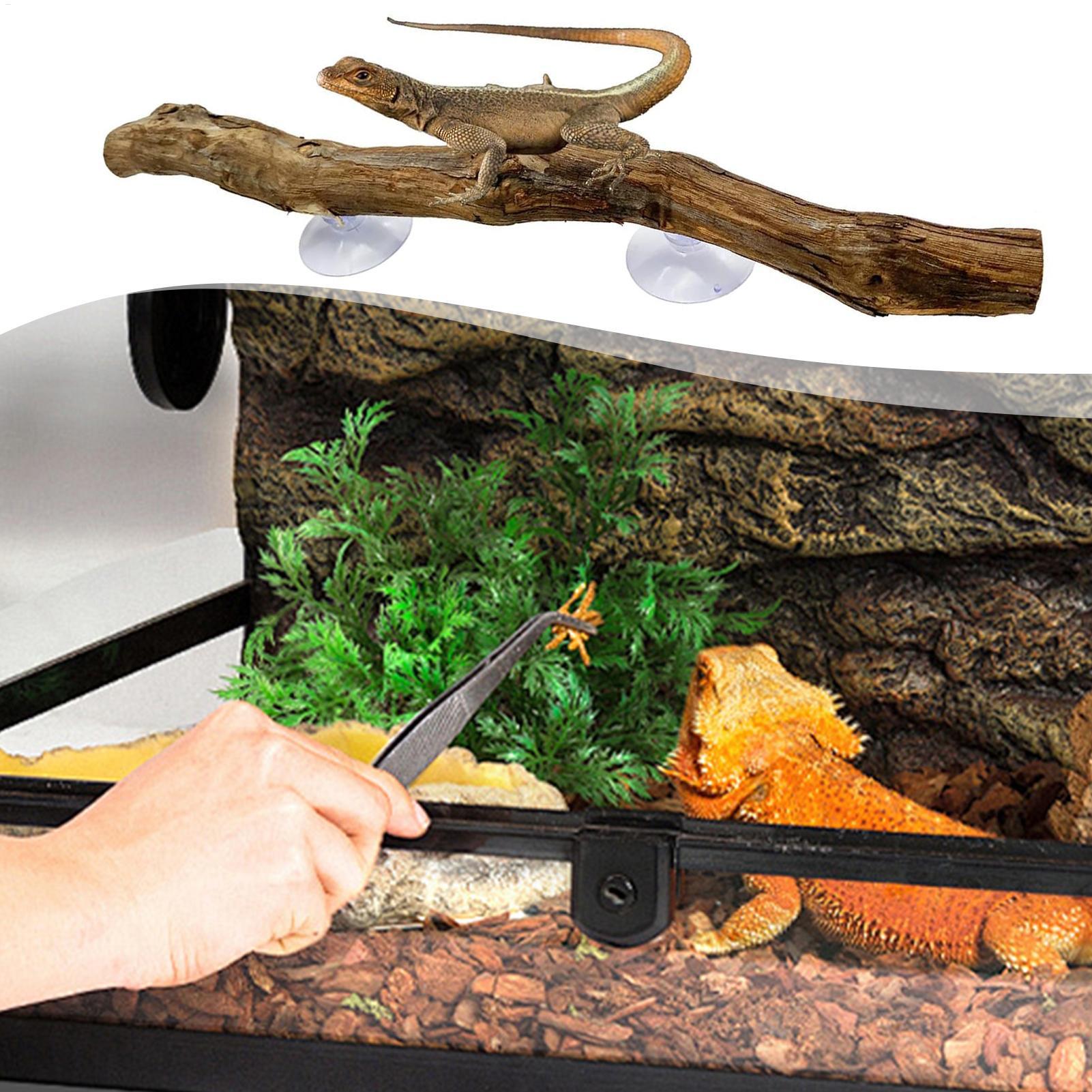 Bâton d'escalade pour reptiles - Home Decor Habitat avis et prix